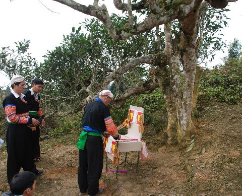 Người dân làm lễ cúng tại thủ phủ chè shan tuyết