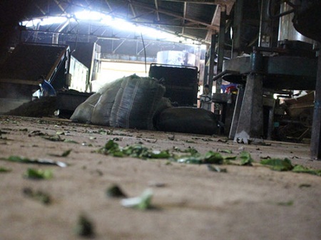 Trà sau khi đấu trộn được đưa vào lò sấy tại xưởng sản xuất của bà Hồng