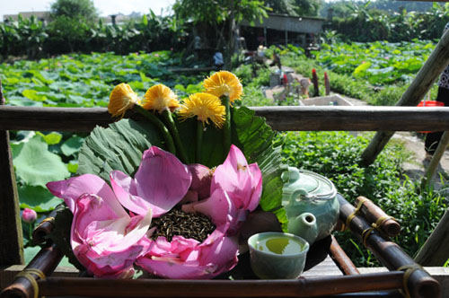 trà sen Thái Nguyên